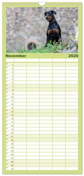 Produktbild: Familienplaner 2026 - Dobermann mit 5 Spalten (Wandkalender, 21 x 45 cm) CALVENDO