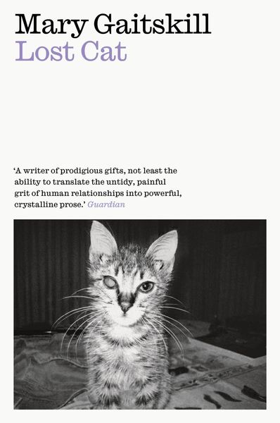 Produktbild: Lost Cat