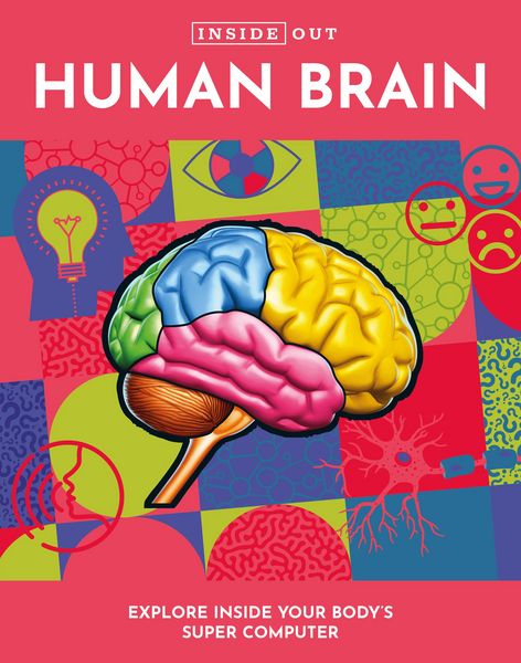 Produktbild: Inside Out Human Brain
