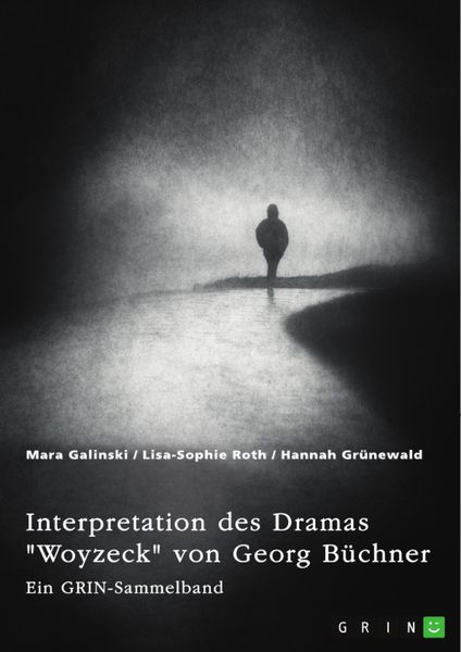 Produktbild: Interpretation des Dramas "Woyzeck" von Georg B&uuml;chner. Verschiedene Ans&auml;tze