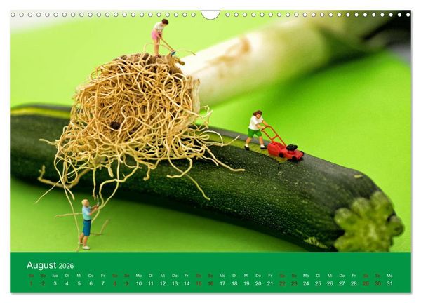 Produktbild: Miniaturen - Klein ganz gro&szlig; (Wandkalender 2026 DIN A3 quer), CALVENDO Monatskalender