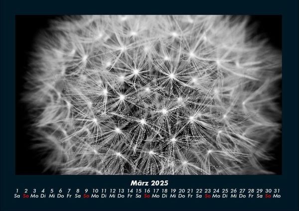 Produktbild: Blumentr&auml;ume 2025 Fotokalender DIN A4