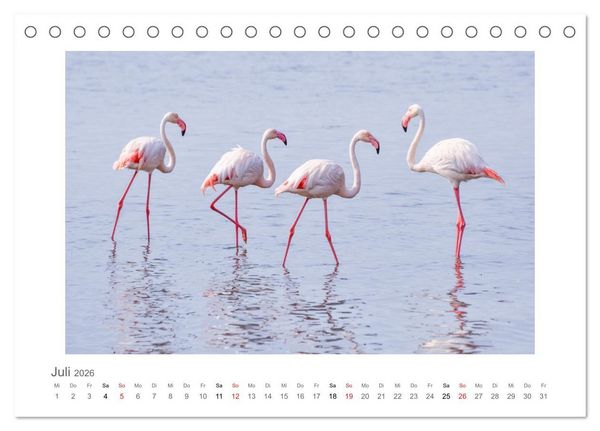 Produktbild: Namibia - unterwegs mit Julia Hahn (Tischkalender 2026 DIN A5 quer), CALVENDO Monatskalender