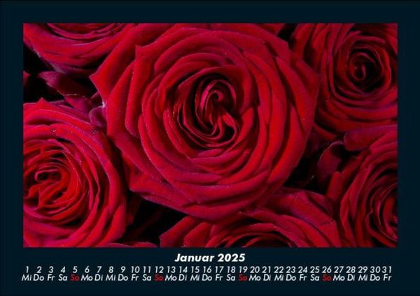 Produktbild: Rosentraum 2025 Fotokalender DIN A5