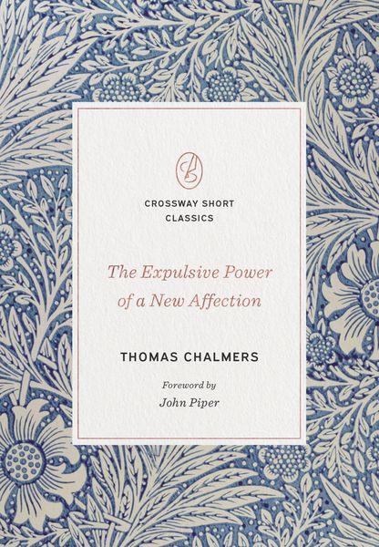Produktbild: The Expulsive Power of a New Affection