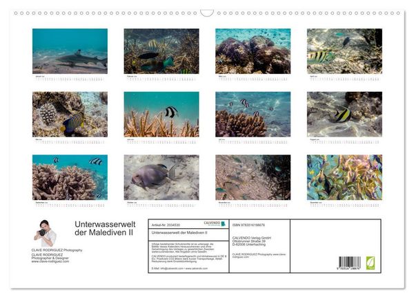 Produktbild: Unterwasserwelt der Malediven II (Wandkalender 2026 DIN A2 quer), CALVENDO Monatskalender