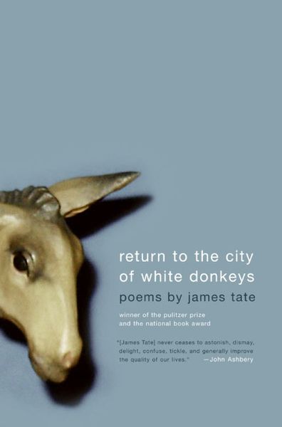 Produktbild: Return to the City of White Donkeys