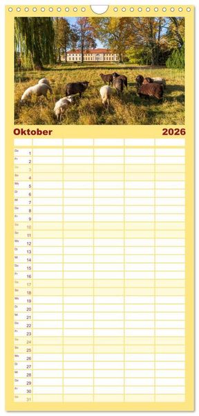 Produktbild: Familienplaner 2026 - Schl&ouml;sser und G&auml;rten in Brandenburg mit 5 Spalten (Wandkalender, 21 x 45 cm) CALVENDO