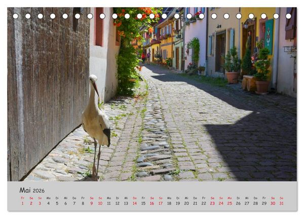 Produktbild: Region Elsass und Vogesen (Tischkalender 2026 DIN A5 quer), CALVENDO Monatskalender