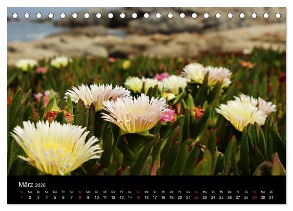 Produktbild: Korsika - Mediterrane Vielfalt (Tischkalender 2026 DIN A5 quer), CALVENDO Monatskalender