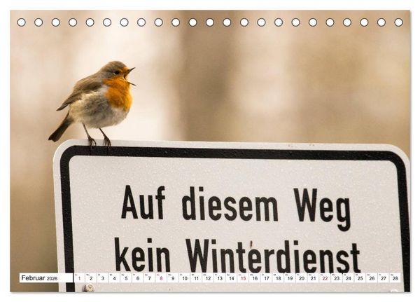 Produktbild: Geliebtes Rotkehlchen (Tischkalender 2026 DIN A5 quer), CALVENDO Monatskalender
