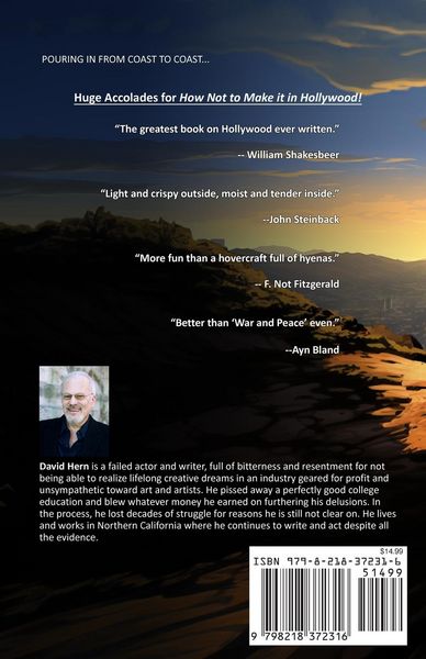 Produktbild: How Not to Make it in Hollywood