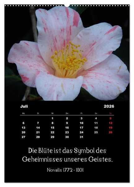 Produktbild: Spr&uuml;che und Zitate ber&uuml;hmter Personen &uuml;ber Blumen und Natur (Wandkalender 2026 DIN A2 hoch), CALVENDO Monatskalender