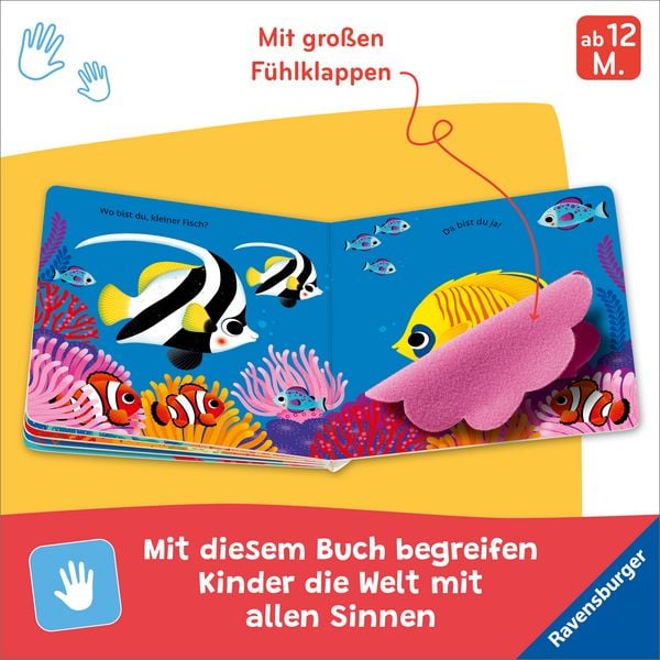 Produktbild: Wo bist du, kleiner Fisch?