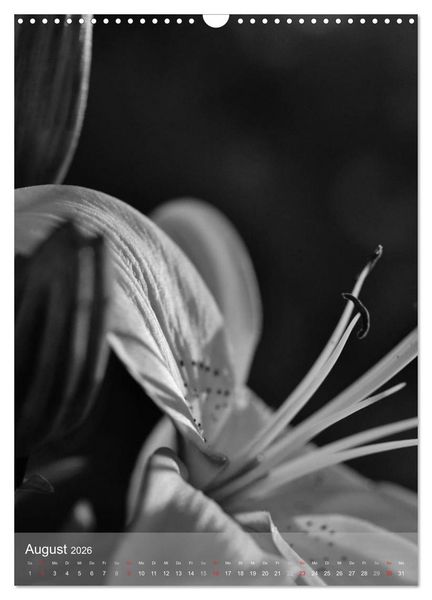 Produktbild: Monochrome Bl&uuml;ten - In Schwarz-Wei&szlig; Bildern durch das Jahr (Wandkalender 2026 DIN A3 hoch), CALVENDO Monatskalender