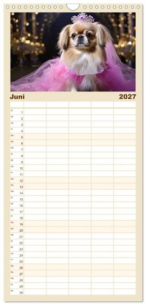 Produktbild: Familienplaner 2027 - Kleine Hunde - Gro&szlig;e Diven mit 5 Spalten (Wandkalender, 21 x 45 cm) CALVENDO