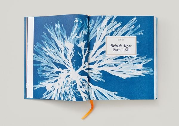 Produktbild: Anna Atkins