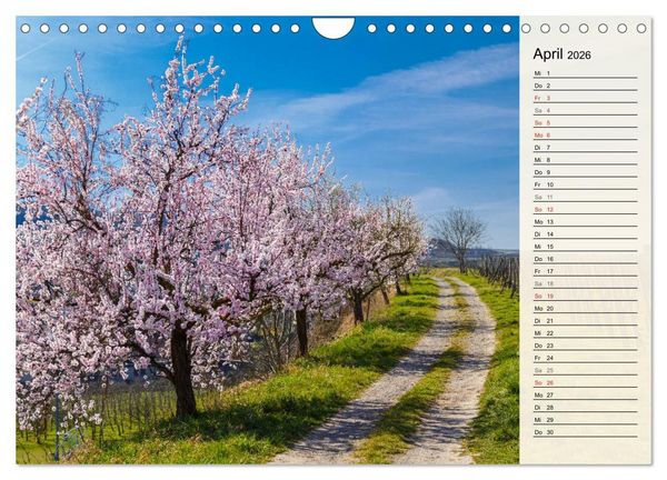 Produktbild: Auf Schusters Rappen... S&uuml;dlicher Oberrhein und S&uuml;dschwarzwald (Wandkalender 2026 DIN A4 quer), CALVENDO Monatskalender
