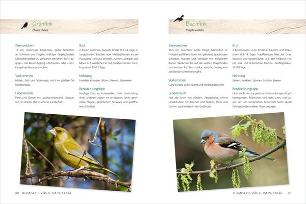 Rettet die Vögel! Lebensraum, Fütterung, Nisthilfen, Vogelschutzprojekte