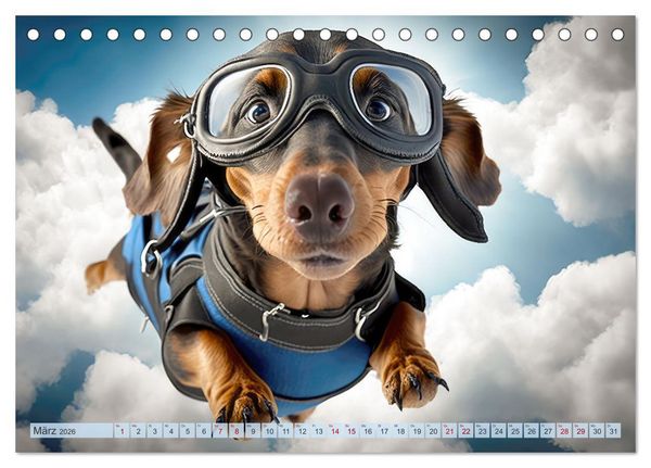 Produktbild: Hunde Skydiving (Tischkalender 2026 DIN A5 quer), CALVENDO Monatskalender