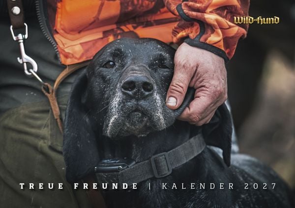 Produktbild: WILD UND HUND Edition: Treue Freunde Kalender 2027