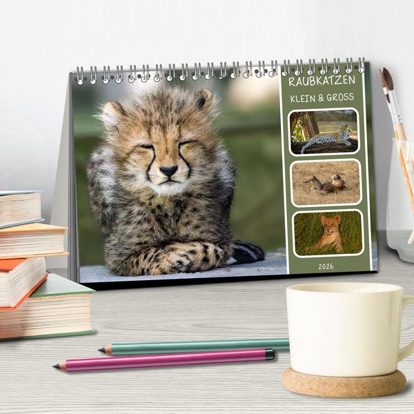 Produktbild: Raubkatzen - gro&szlig; & klein (Tischkalender 2026 DIN A5 quer), CALVENDO Monatskalender
