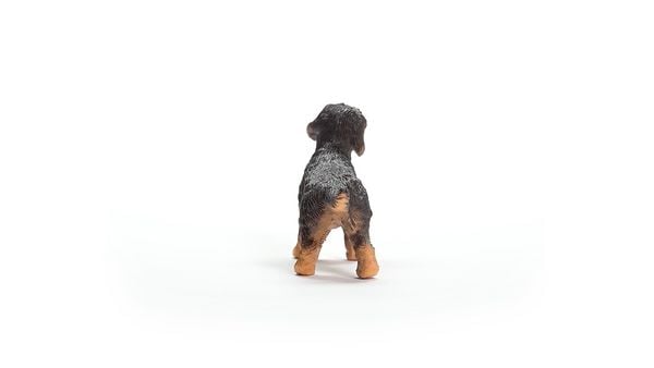 Produktbild: schleich&reg; Farm World Rauhaardackel 3,8cm