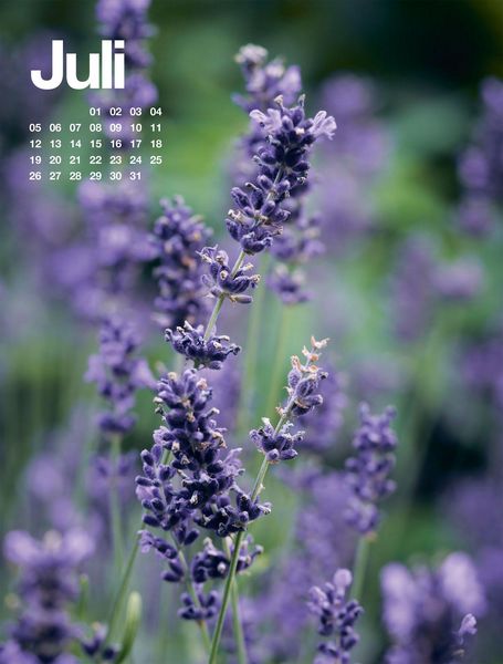 Produktbild: Fr&uuml;hling, Sommer, Herbst & Winter Kalender 2027
