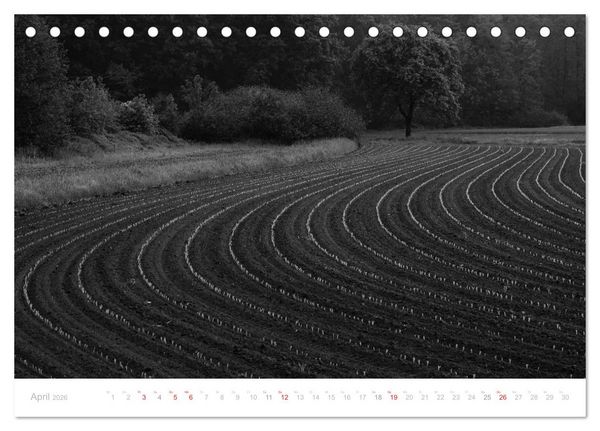 Produktbild: Mystischer Schwarzwald (Tischkalender 2026 DIN A5 quer), CALVENDO Monatskalender