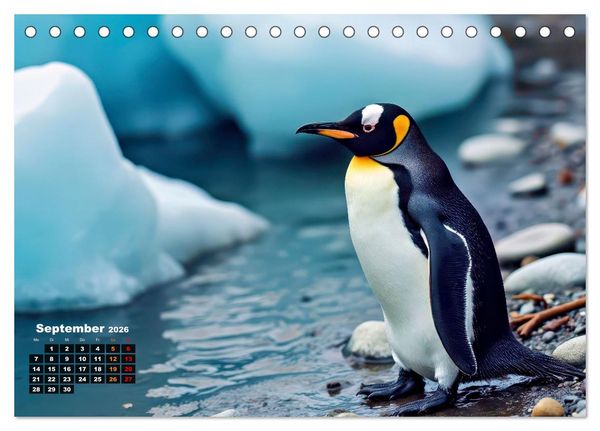 Produktbild: Mit den Pinguinen (Tischkalender 2026 DIN A5 quer), CALVENDO Monatskalender