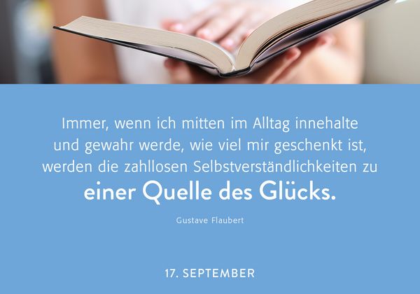 Produktbild: 365 mal Lebensfreude