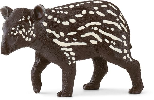 Tapir Junges
