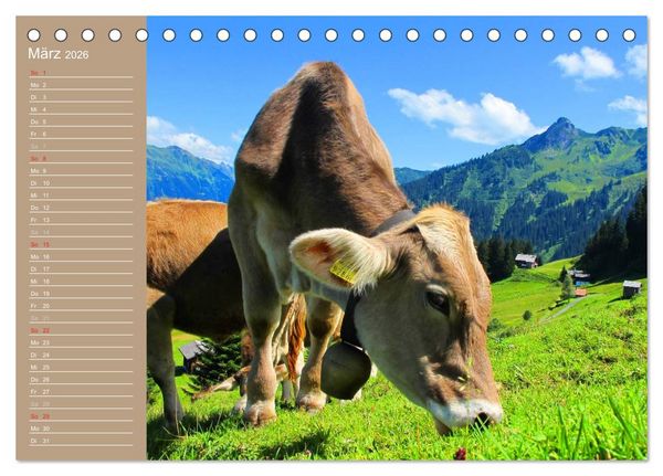 Produktbild: K&uuml;he / Geburtstagskalender (Tischkalender 2026 DIN A5 quer), CALVENDO Monatskalender