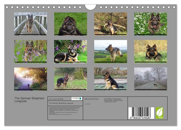 Produktbild: The German Shepherd Longcoat (Wall Calendar 2026 DIN A4 landscape), CALVENDO 12 Month Wall Calendar