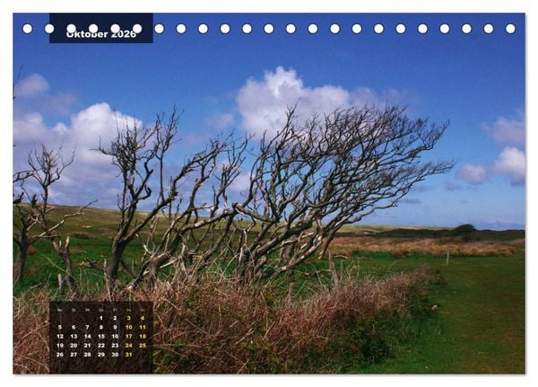 Produktbild: Texel Insel mit Charakter (Tischkalender 2026 DIN A5 quer), CALVENDO Monatskalender