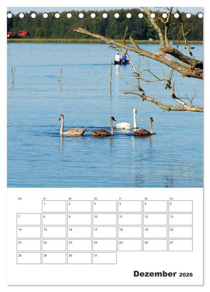 Produktbild: Rheinsberg mit Hafendorf (Tischkalender 2026 DIN A5 hoch), CALVENDO Monatskalender