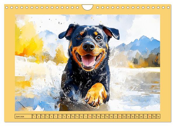 Produktbild: Kraftvolle Rottweiler. Stattliche Begleithunde im Aquarell-Stil (Wandkalender 2026 DIN A4 quer), CALVENDO Monatskalender
