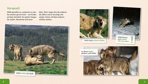 Produktbild: Meine gro&szlig;e Tierbibliothek: Der Wolf