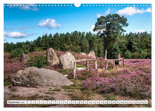 Produktbild: L&uuml;neburger Heide: Die Nordheide (Wandkalender 2026 DIN A3 quer), CALVENDO Monatskalender