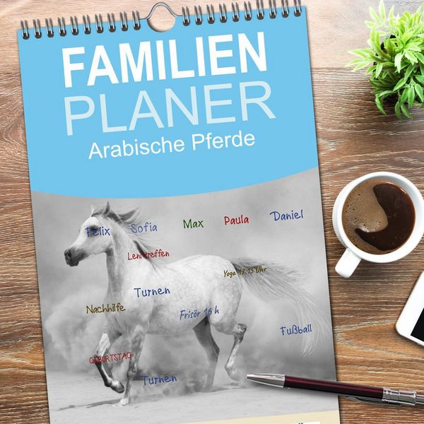 Produktbild: Familienplaner 2026 - Arabische Pferde mit 5 Spalten (Wandkalender, 21 x 45 cm) CALVENDO