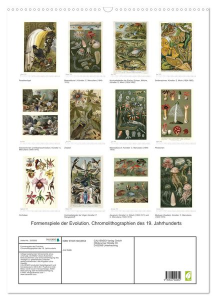 Produktbild: Formenspiele der Evolution. Chromolithographien des 19. Jahrhunderts (Wandkalender 2026 DIN A2 hoch), CALVENDO Monatskalender