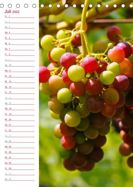 Produktbild: Wein und Sekt (Tischkalender 2022 DIN A5 hoch)