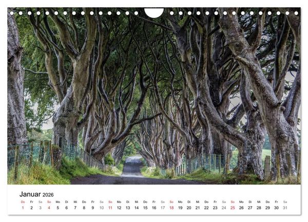 Produktbild: Irland wie gemalt (Wandkalender 2026 DIN A4 quer), CALVENDO Monatskalender