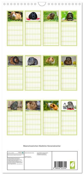 Produktbild: Familienplaner 2026 - Meerschweinchen Niedliche Herzensbrecher mit 5 Spalten (Wandkalender, 21 x 45 cm) CALVENDO
