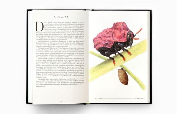 Produktbild: Wunderwelt der Insekten