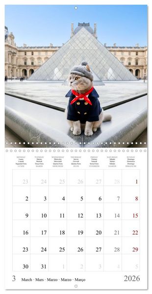 Produktbild: A British Shorthair's Escapes (Wall Calendar 2026 12 &times; 12 Inch) CALVENDO 12 Month Wall Calendar