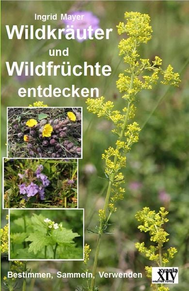 Produktbild: Wildkr&auml;uter und Wildfr&uuml;chte entdecken