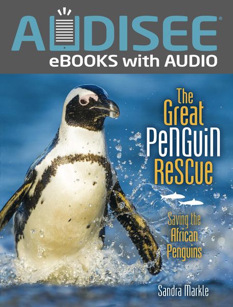 Produktbild: Great Penguin Rescue