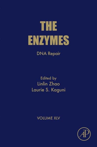 Produktbild: DNA Repair