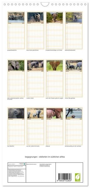 Produktbild: Familienplaner 2026 - begegnungen - elefanten im s&uuml;dlichen afrika mit 5 Spalten (Wandkalender, 21 x 45 cm) CALVENDO